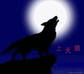 ͼƬ´ڴ򿪲鿴