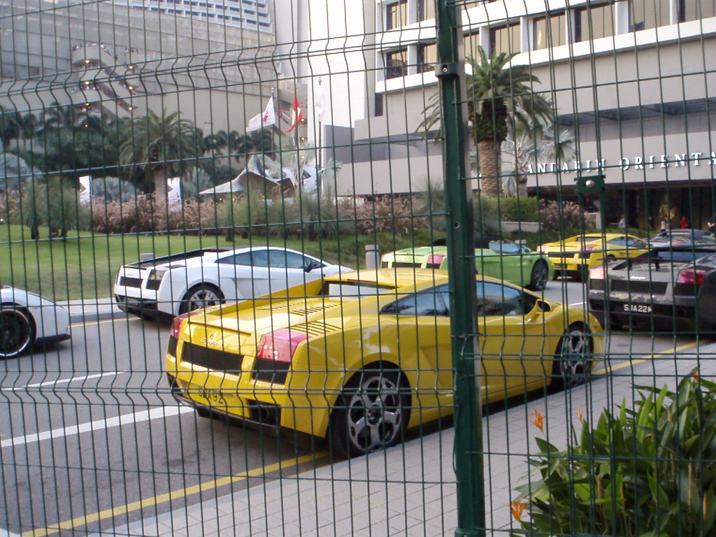 dvubb 图片点击可在新窗口打开查看