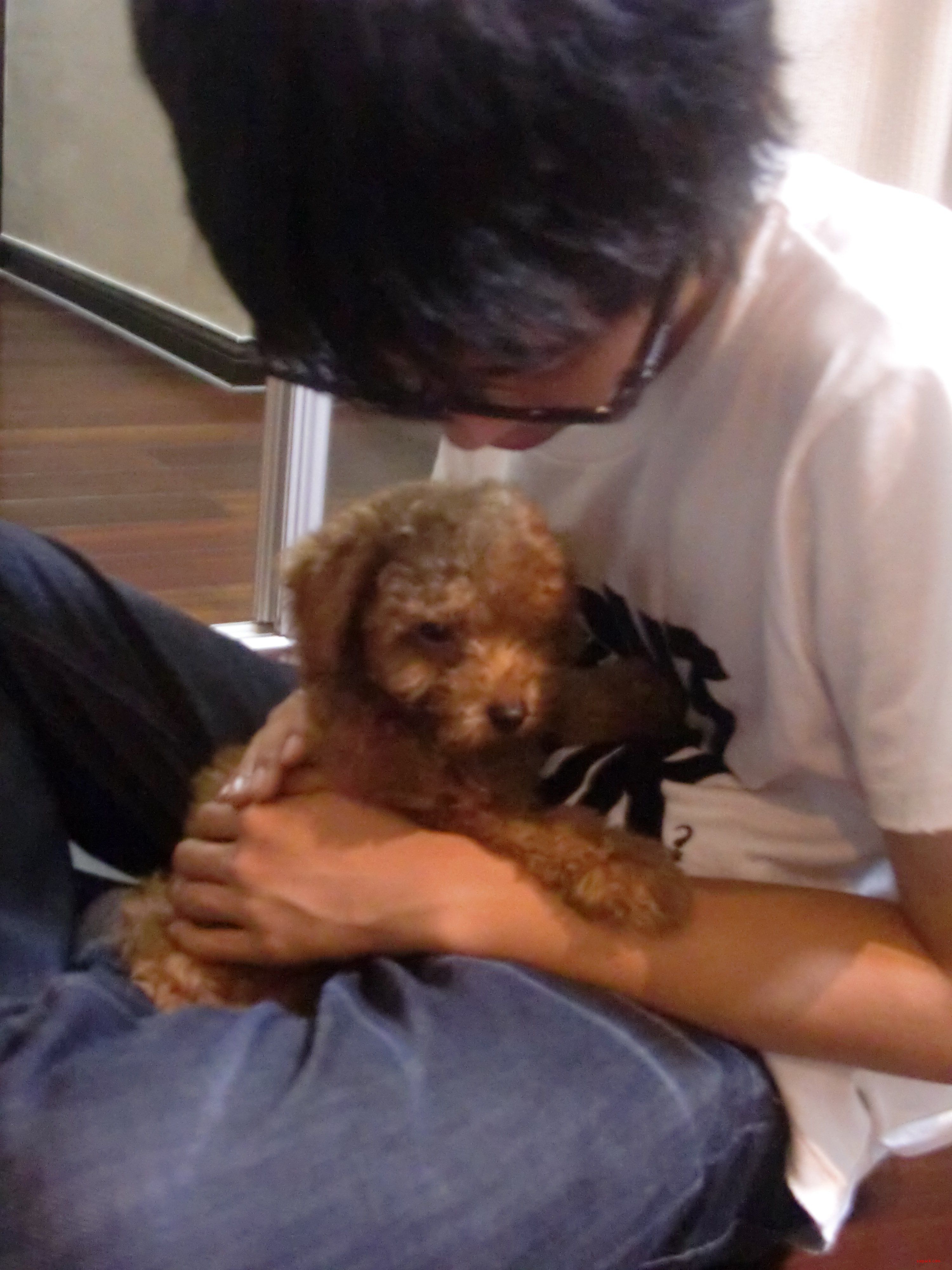 dvubb 图片点击可在新窗口打开查看