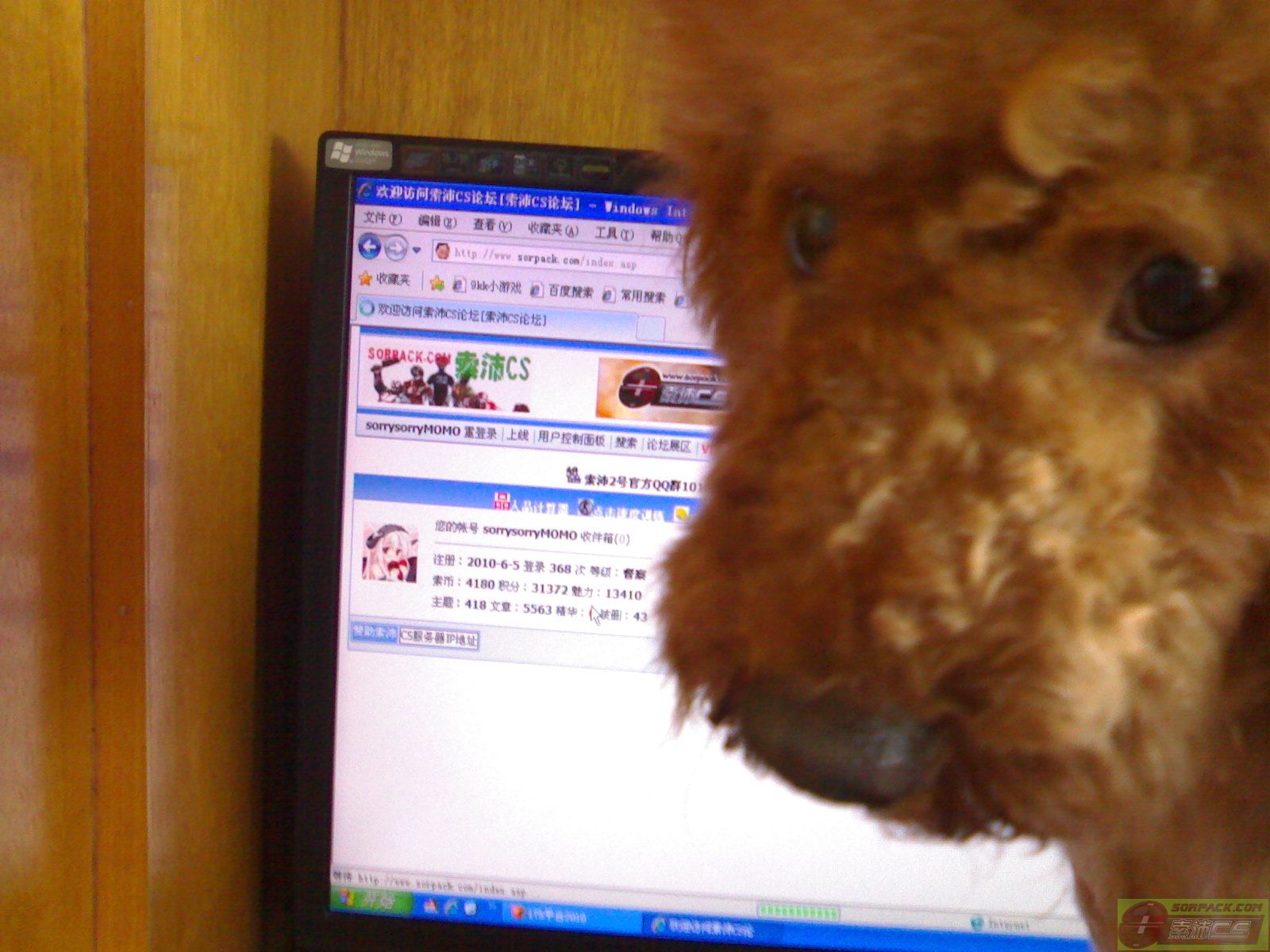 ͼƬ´ڴ򿪲鿴