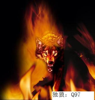 ͼƬ��������´��ڴ򿪲鿴