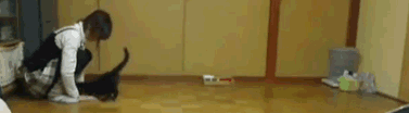 ͼƬ´ڴ򿪲鿴