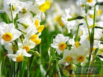 ͼƬ��������´��ڴ򿪲鿴