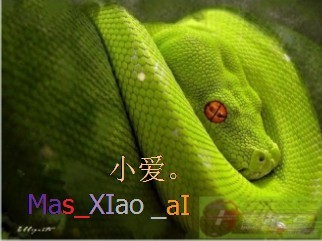 ͼƬ��������´��ڴ򿪲鿴