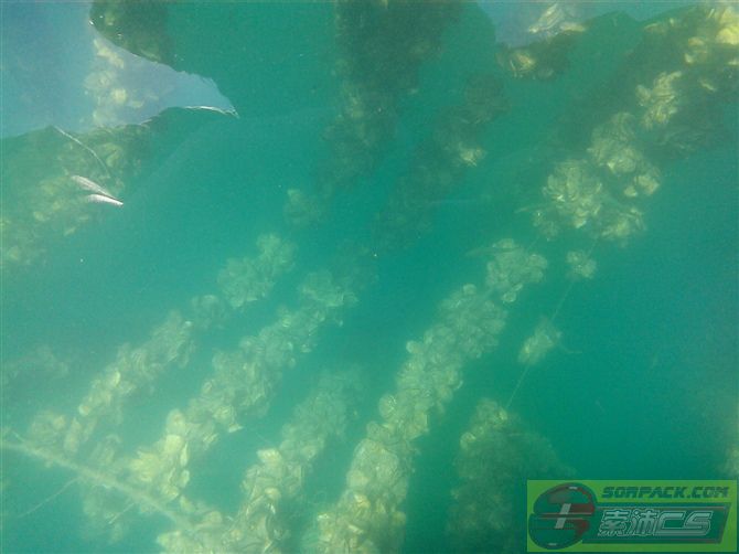 dvubb 图片点击可在新窗口打开查看