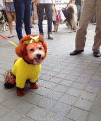 ͼƬ��������´��ڴ򿪲鿴