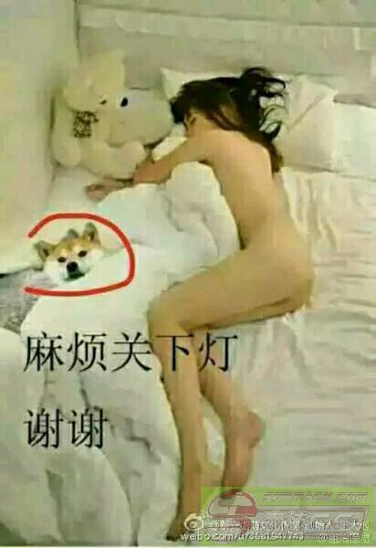 dvubb 图片点击可在新窗口打开查看