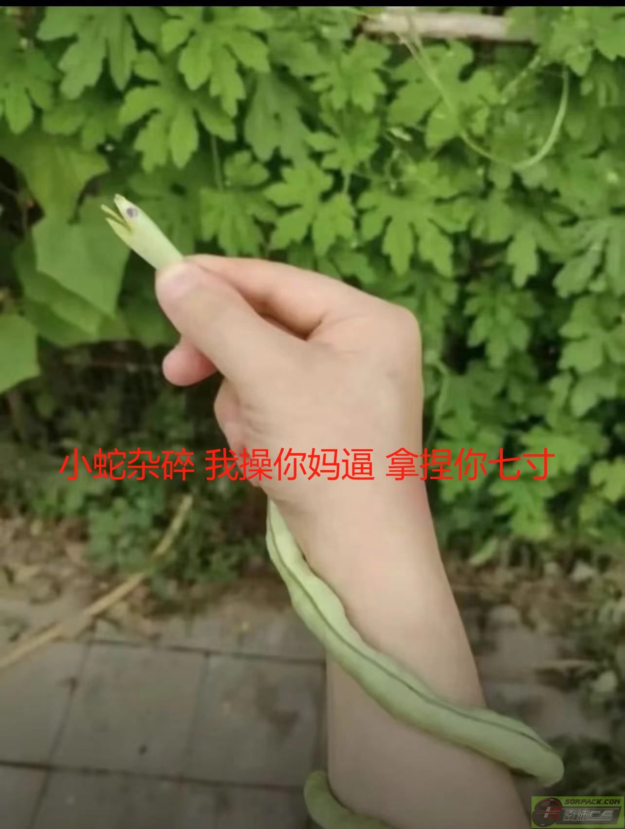 ͼƬ´ڴ򿪲鿴