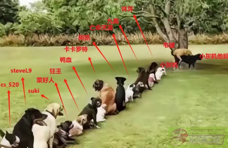ͼƬ´ڴ򿪲鿴